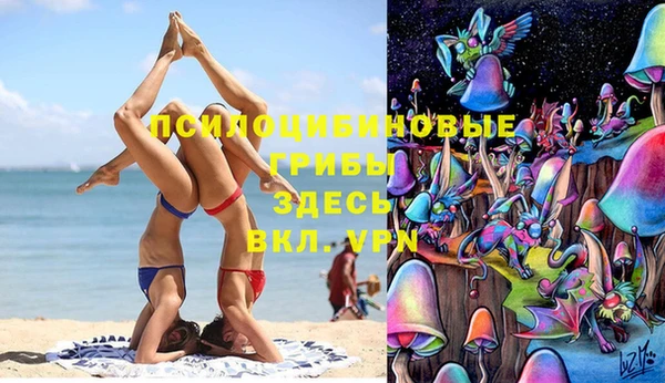 a pvp Удомля