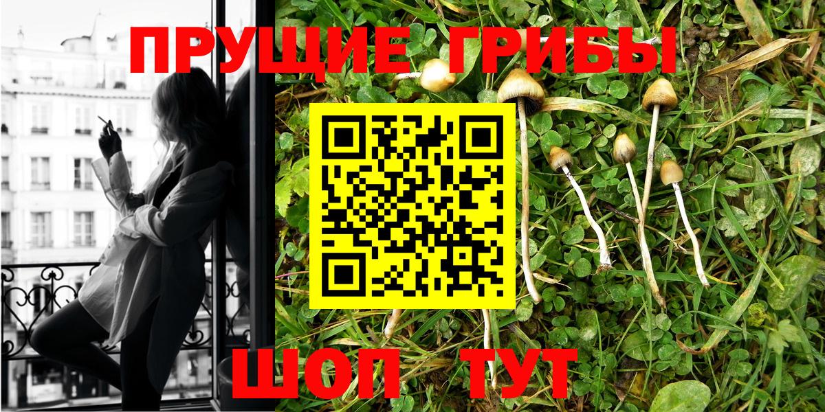 Галлюциногенные грибы Cubensis  Вход с VPN  Ульяновск 