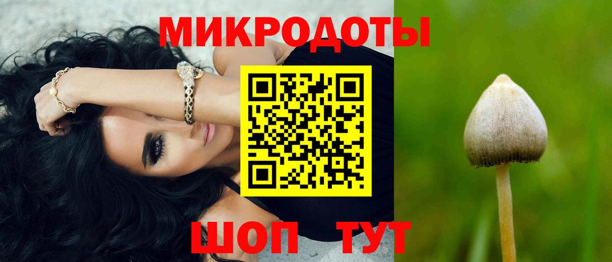 как найти наркотики  Ульяновск  Псилоцибиновые грибы ЛСД 